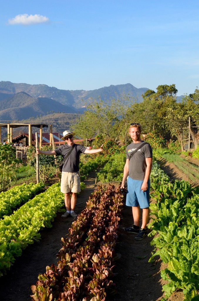 Luke and I posing in veggie gardens
